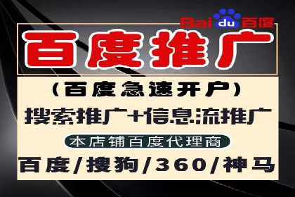 成功案例：SEM竞价代运营助力品牌崛起